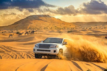 Dubai Desert Safari